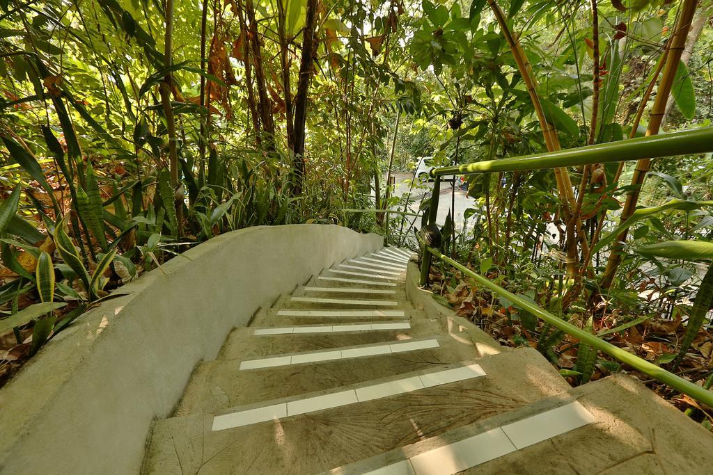 Ambong Rainforest Retreat Pantai Cenang  Exterior photo